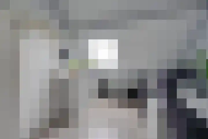 Kaasmaker 89 Assendelft thumbnail 38