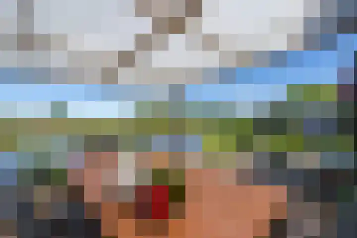 Kaasmaker 89 Assendelft thumbnail 40