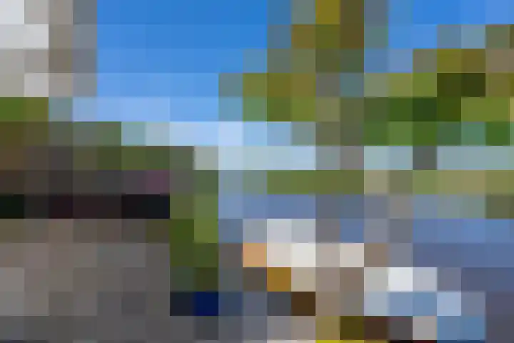 Kaasmaker 89 Assendelft thumbnail 46