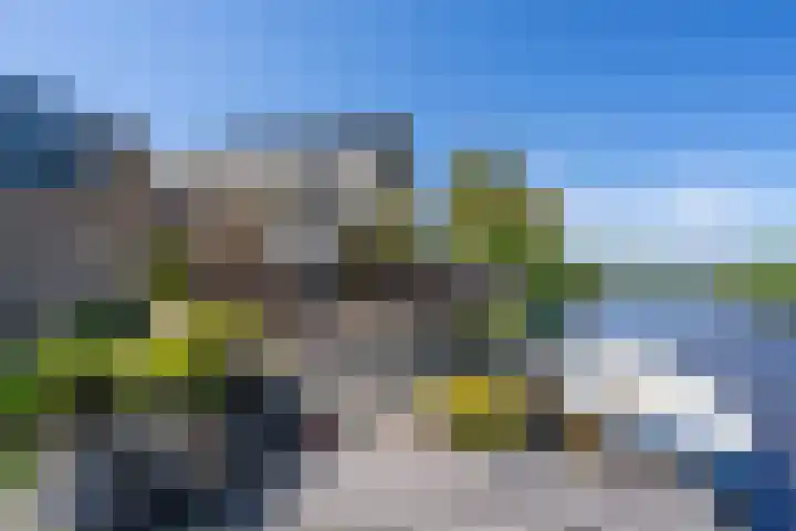 Kaasmaker 89 Assendelft thumbnail 48