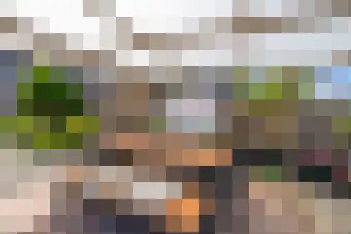 Kaasmaker 89 Assendelft thumbnail 50