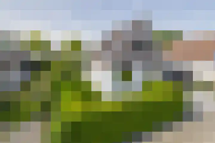 Kaasmaker 89 Assendelft thumbnail 9