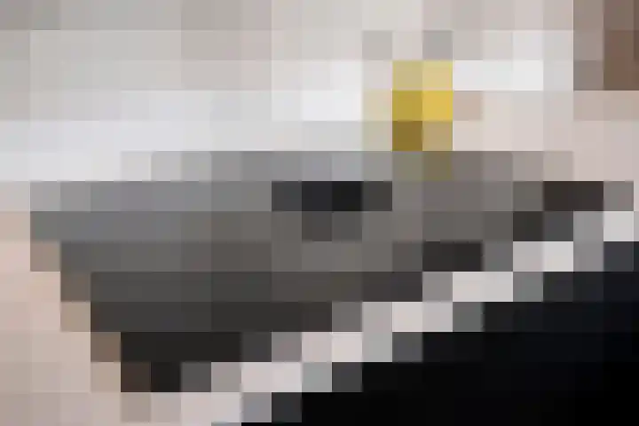 Kaasmakerlaan 10 IJsselstein thumbnail 12