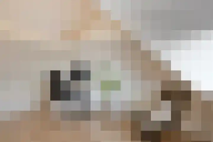 Kaasmakerlaan 10 IJsselstein thumbnail 23