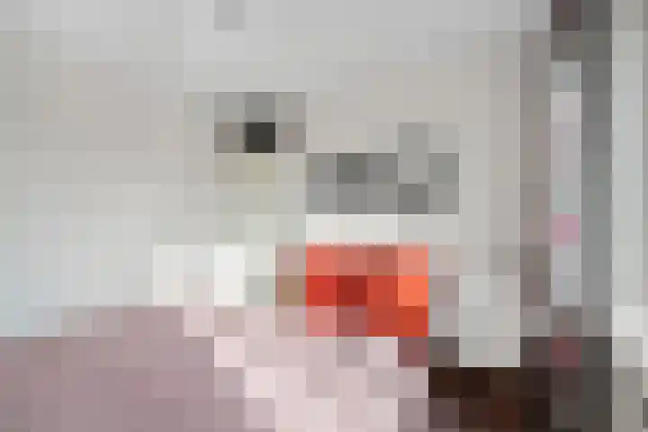 Kaasmakerlaan 15 IJsselstein thumbnail 35