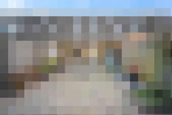 Kaasmakerlaan 15 IJsselstein thumbnail 46