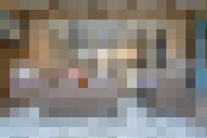 Kaasmakerlaan 15 IJsselstein thumbnail 48