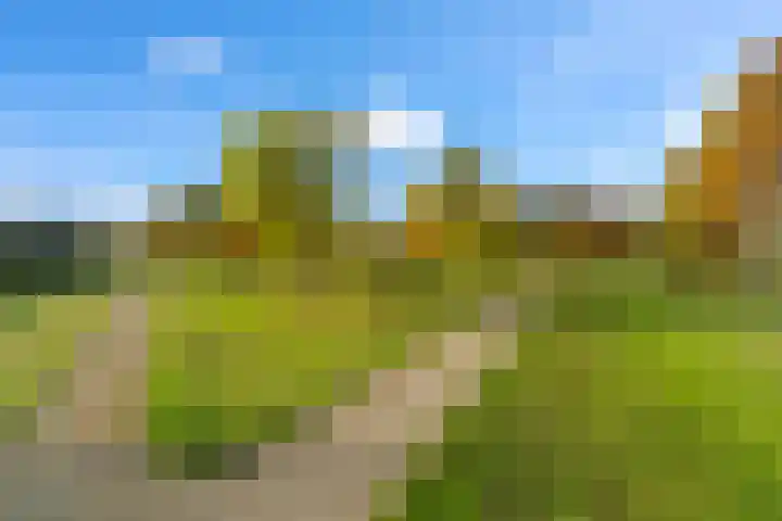 Kaasmakerlaan 15 IJsselstein thumbnail 51
