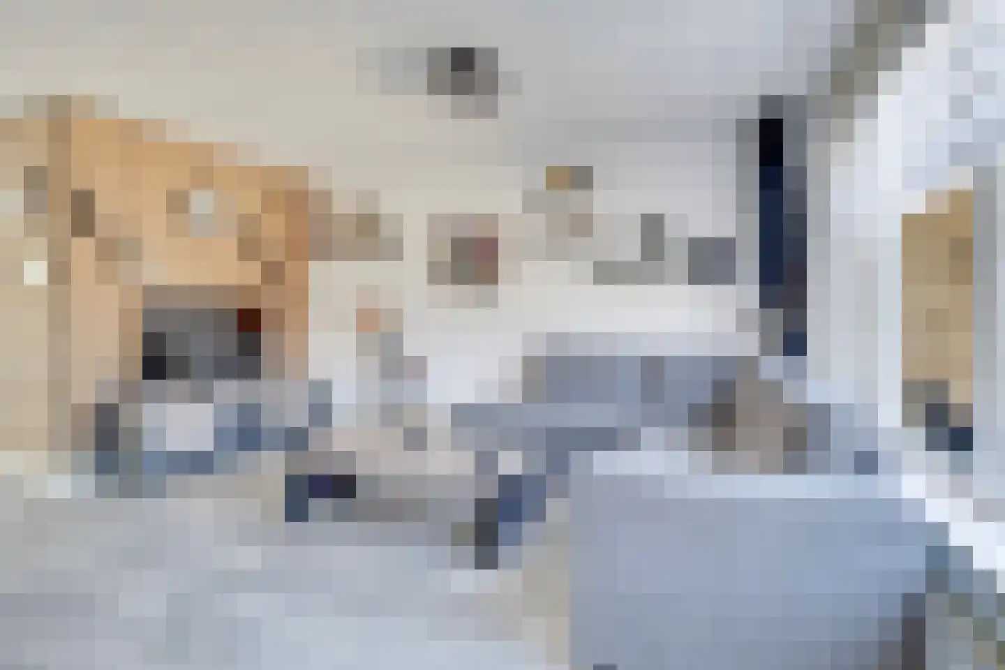 Kaasmakerlaan 24 IJsselstein thumbnail 16