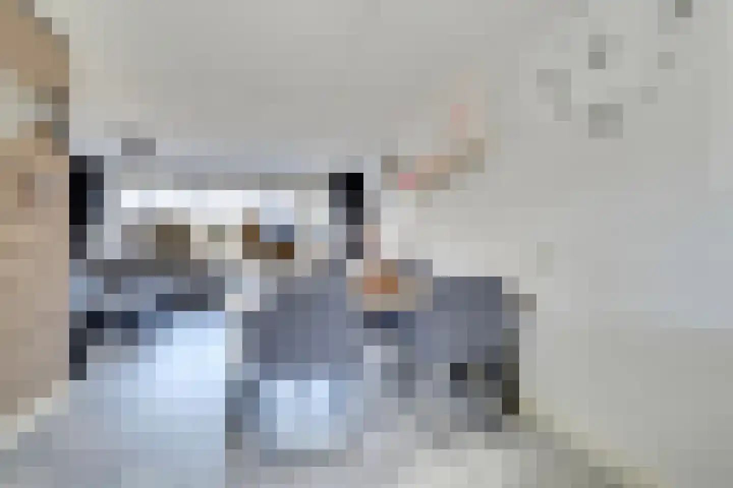 Kaasmakerlaan 24 IJsselstein thumbnail 21