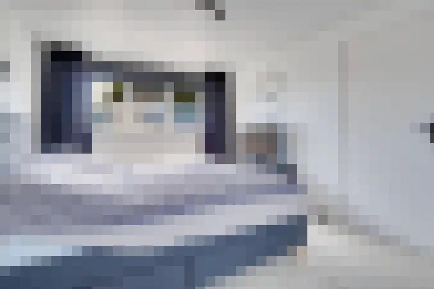 Kaasmakerlaan 24 IJsselstein thumbnail 39