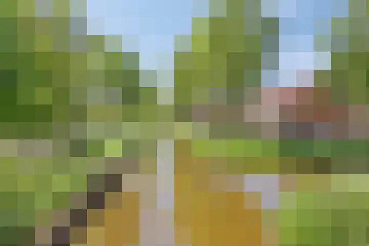 Kaasvormstraat 17 Purmerend thumbnail 26