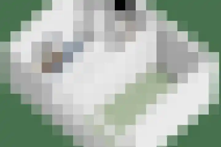 Kaasvormstraat 17 Purmerend thumbnail 32