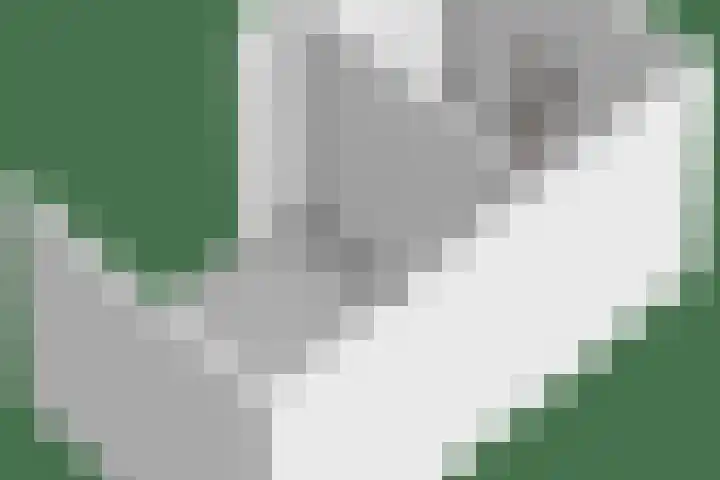 Kaasvormstraat 17 Purmerend thumbnail 34