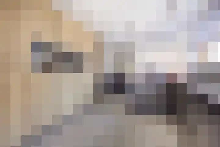 Kaasvormstraat 17 Purmerend thumbnail 4