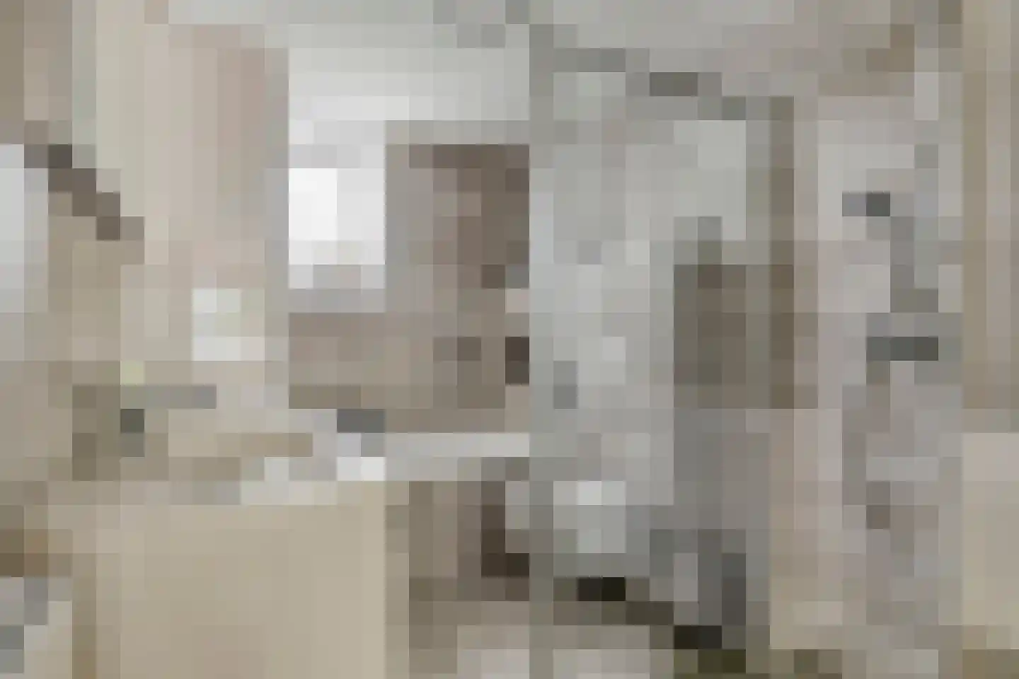 Kaaswetering 3 Ouderkerk aan den IJssel thumbnail 16