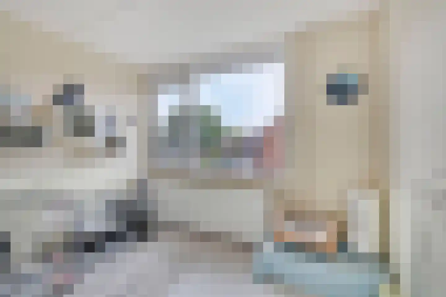 Kaaswetering 3 Ouderkerk aan den IJssel thumbnail 20