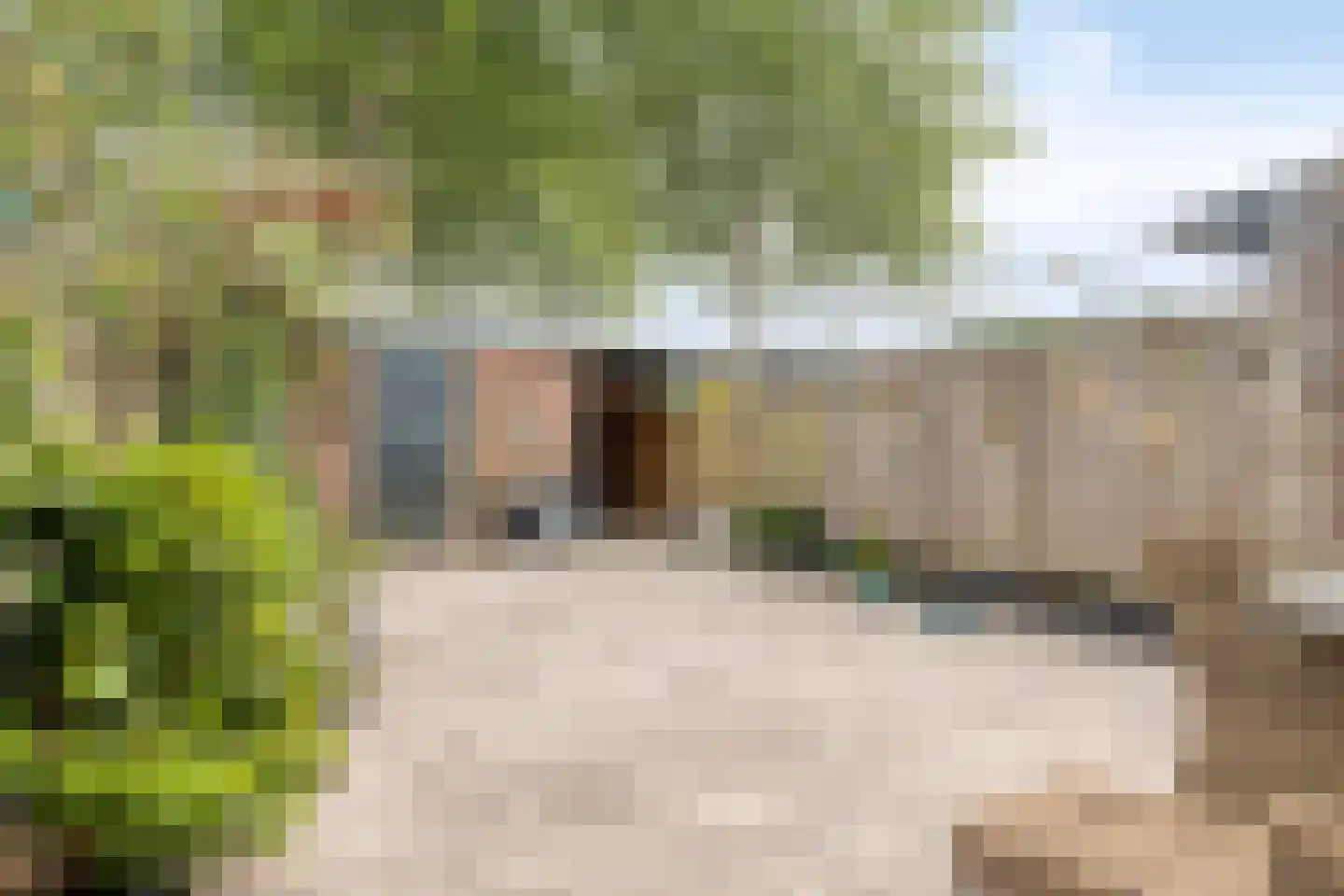 Kaaswetering 3 Ouderkerk aan den IJssel thumbnail 27