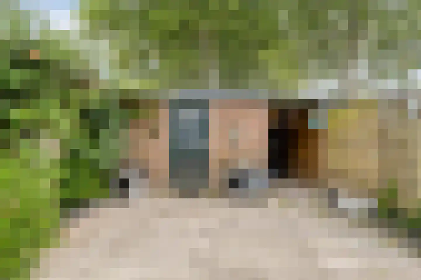 Kaaswetering 3 Ouderkerk aan den IJssel thumbnail 28