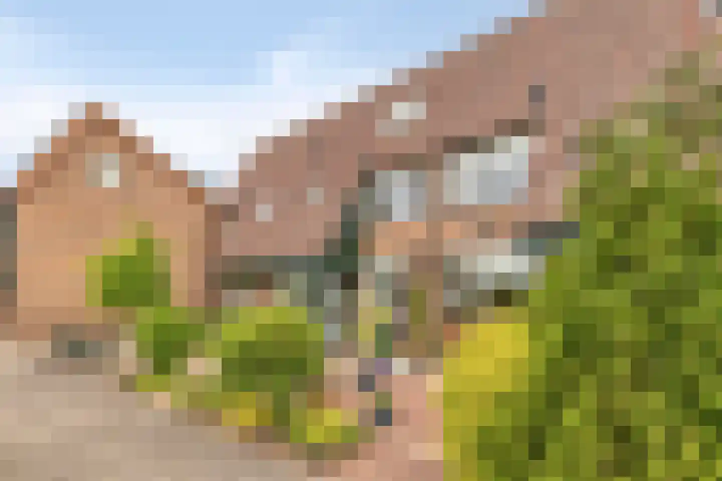 Kaaswetering 3 Ouderkerk aan den IJssel thumbnail 4