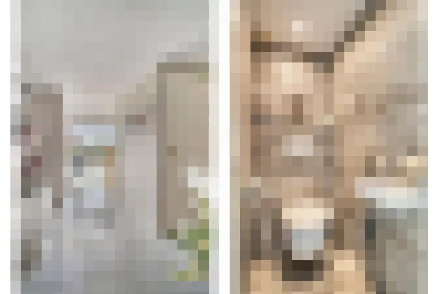 Kaaswetering 3 Ouderkerk aan den IJssel thumbnail 5