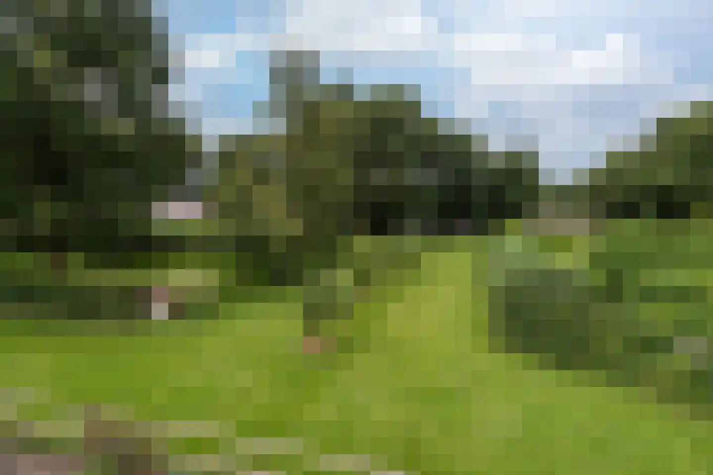 Kaathoven 3 Vinkel foto 2