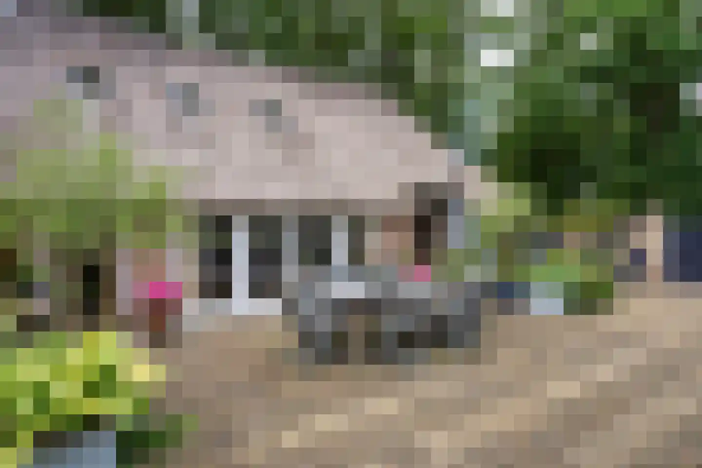 Kaathoven 3 Vinkel thumbnail 36