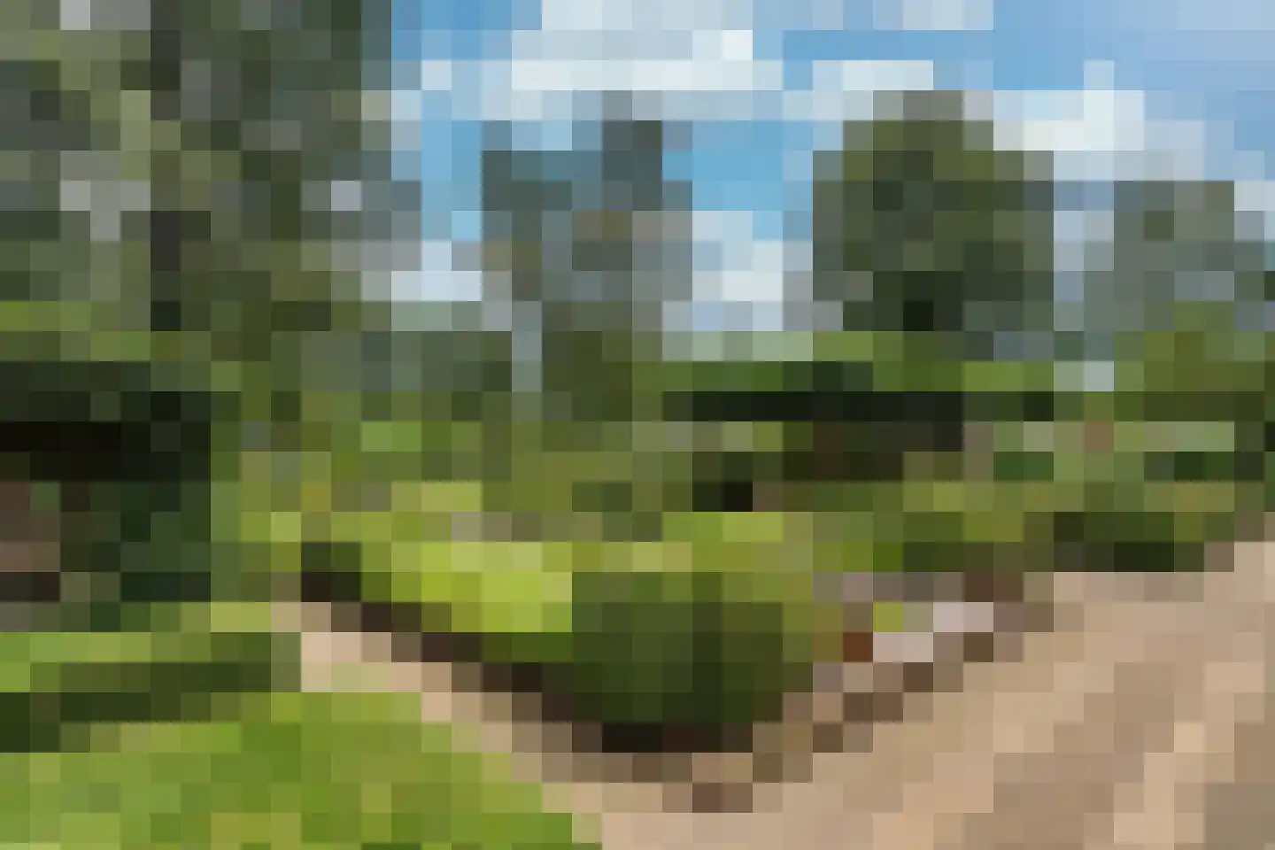 Kaathoven 3 Vinkel thumbnail 38