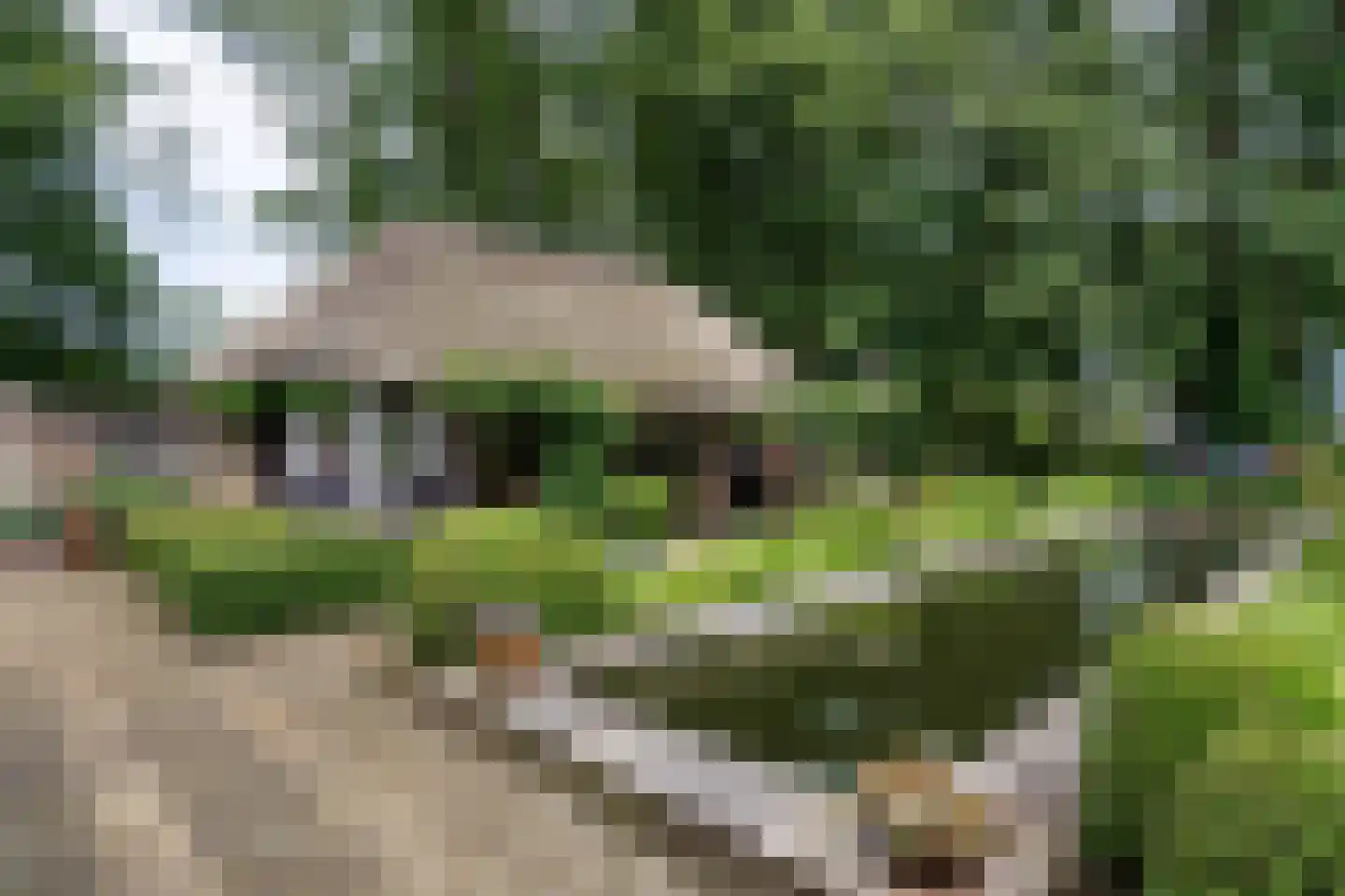 Kaathoven 3 Vinkel thumbnail 40