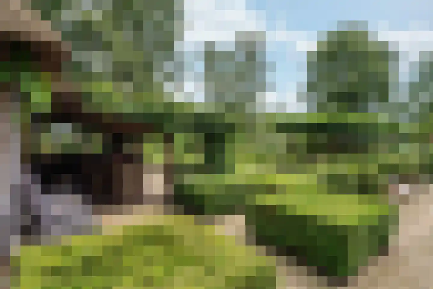 Kaathoven 3 Vinkel thumbnail 42