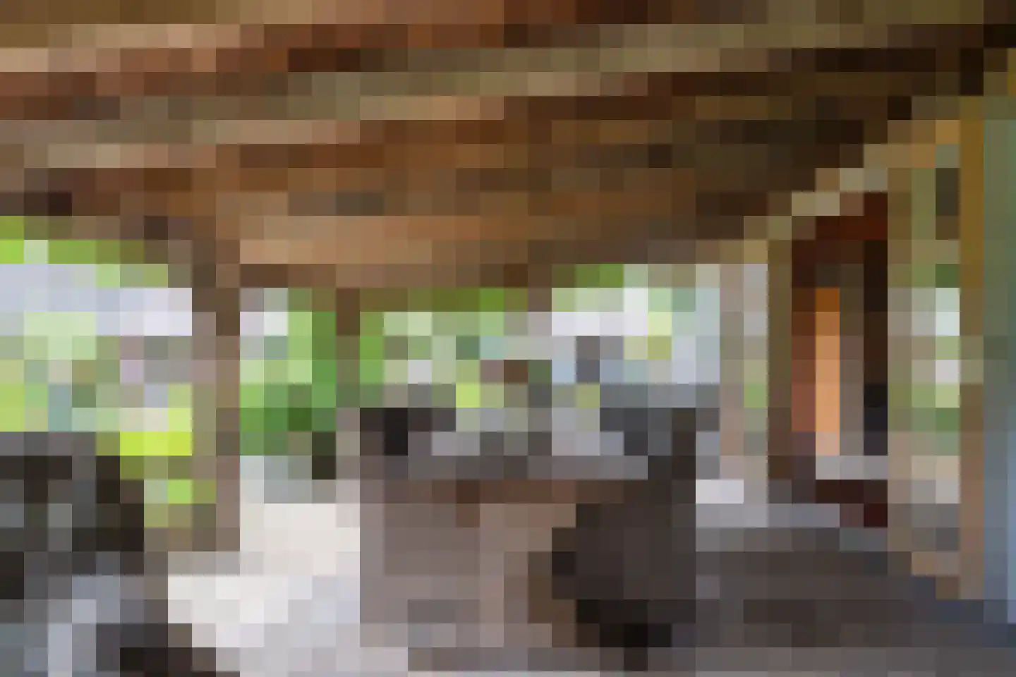 Kaathoven 3 Vinkel thumbnail 44