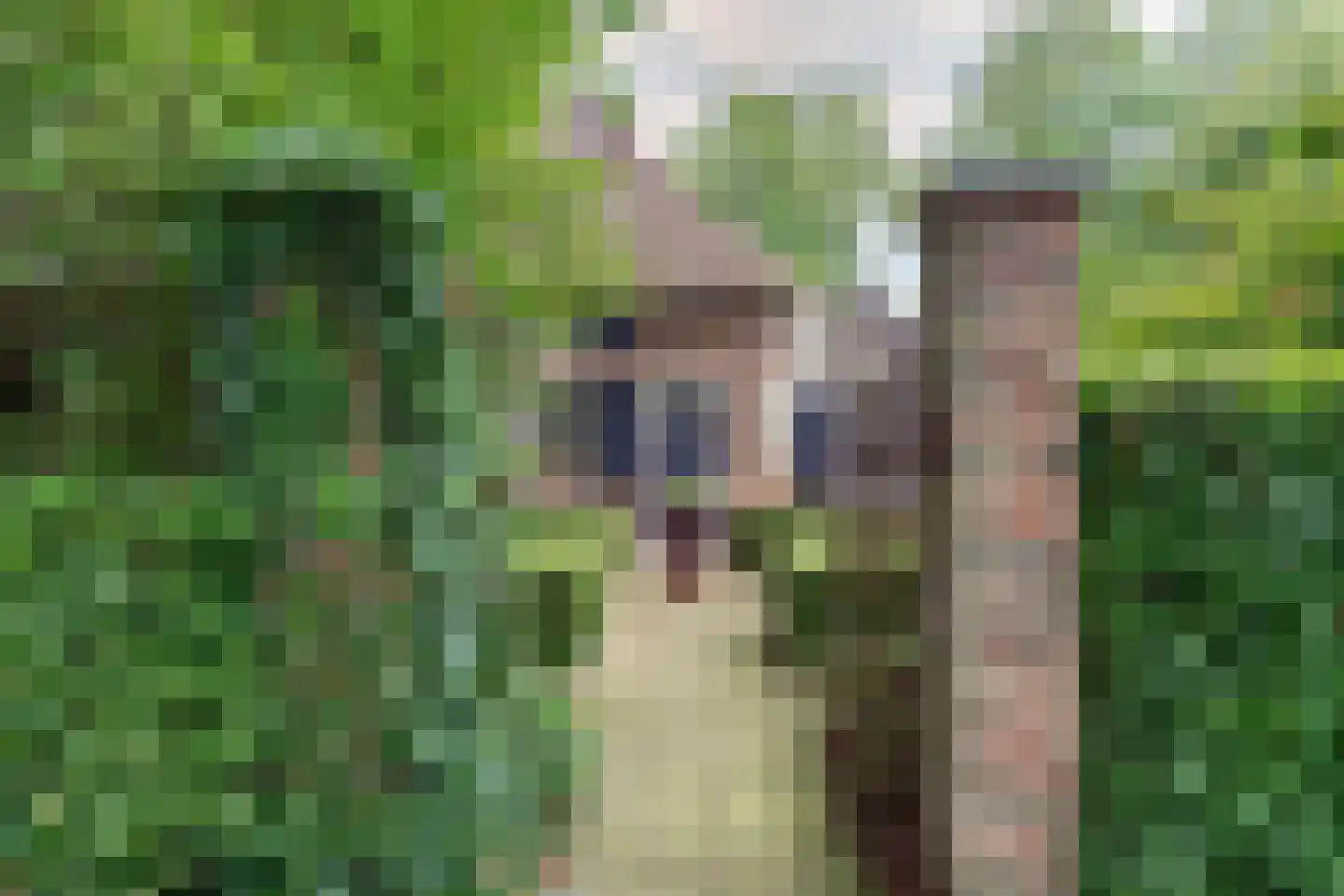 Kaathoven 3 Vinkel thumbnail 5