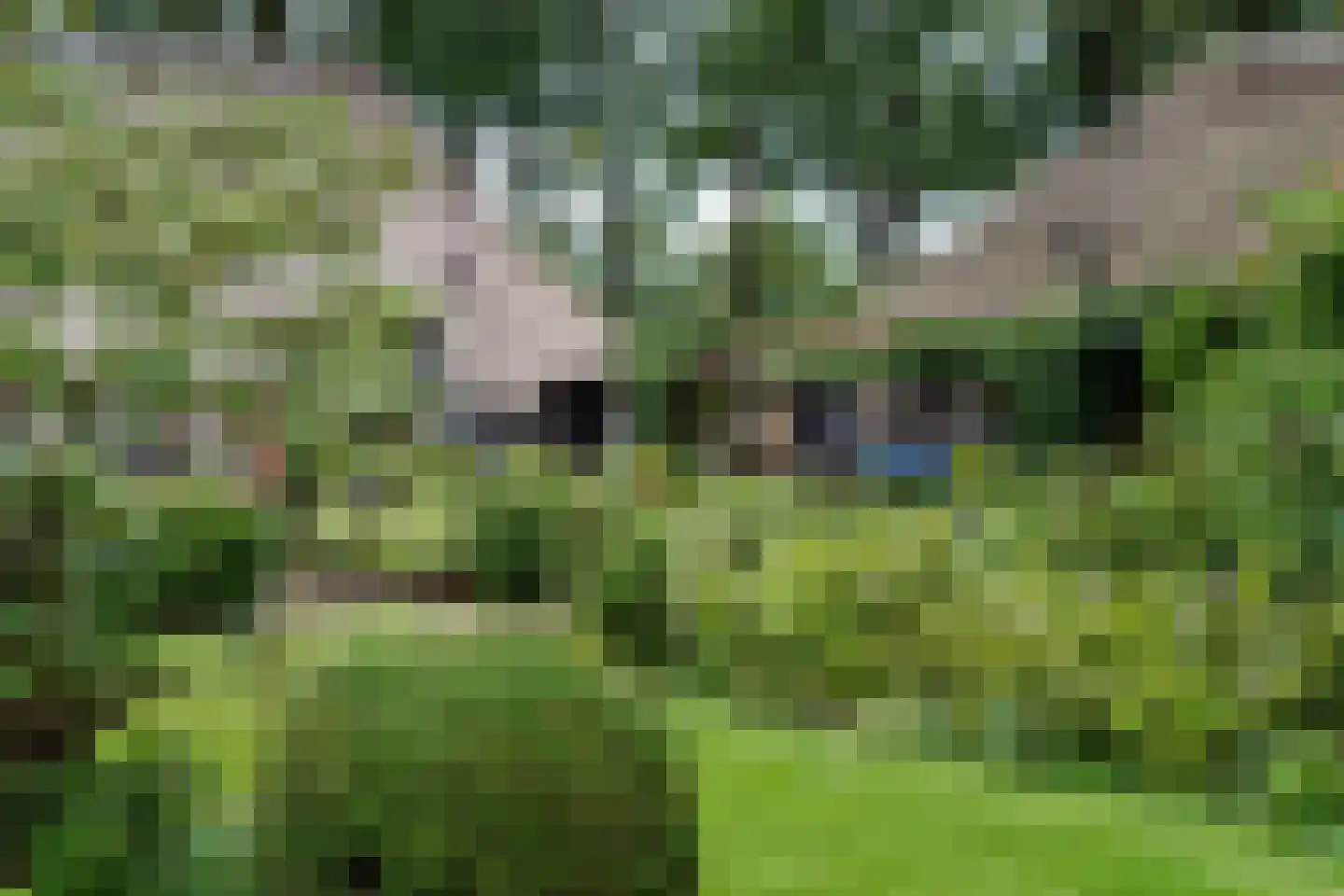Kaathoven 3 Vinkel thumbnail 51