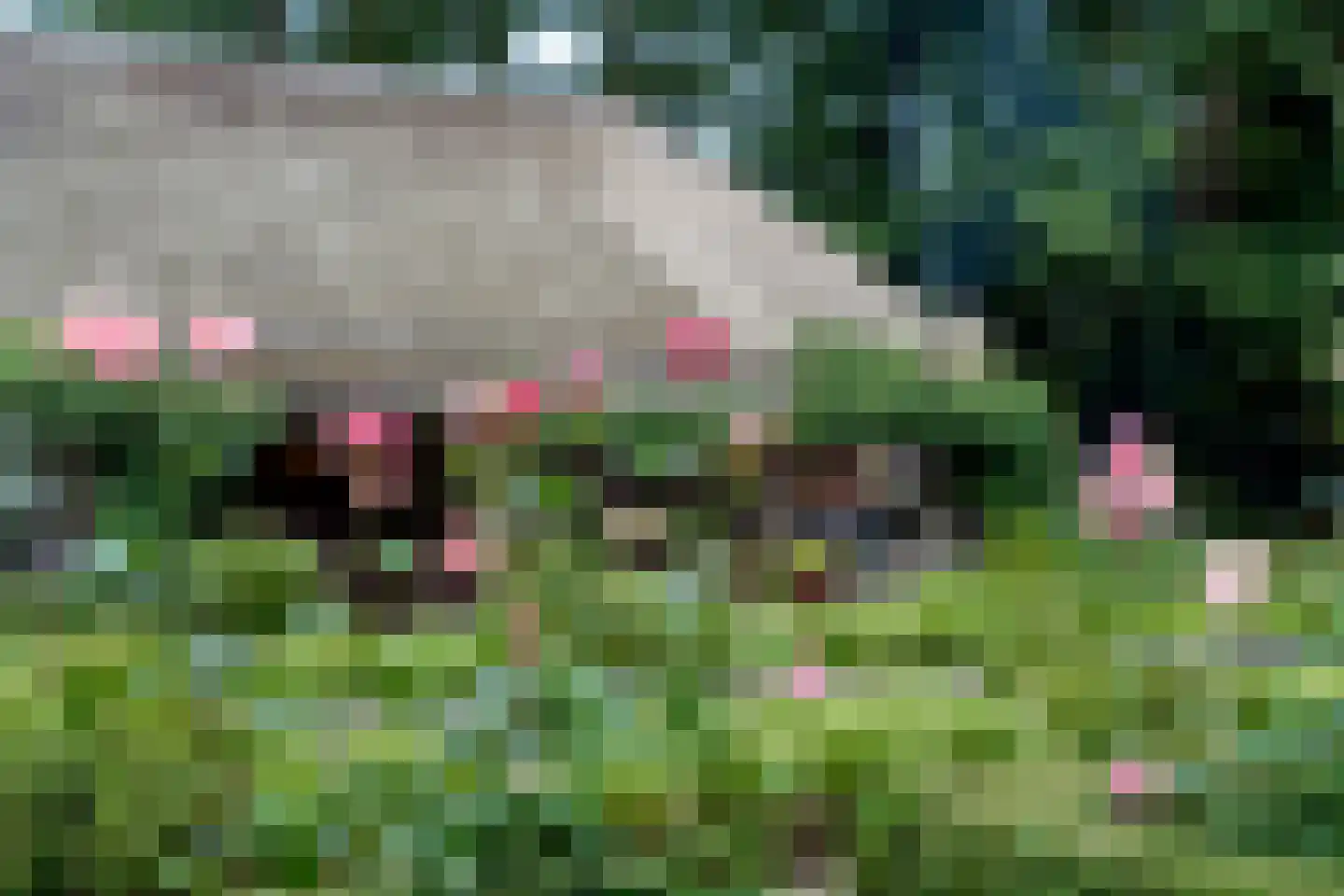 Kaathoven 3 Vinkel thumbnail 52