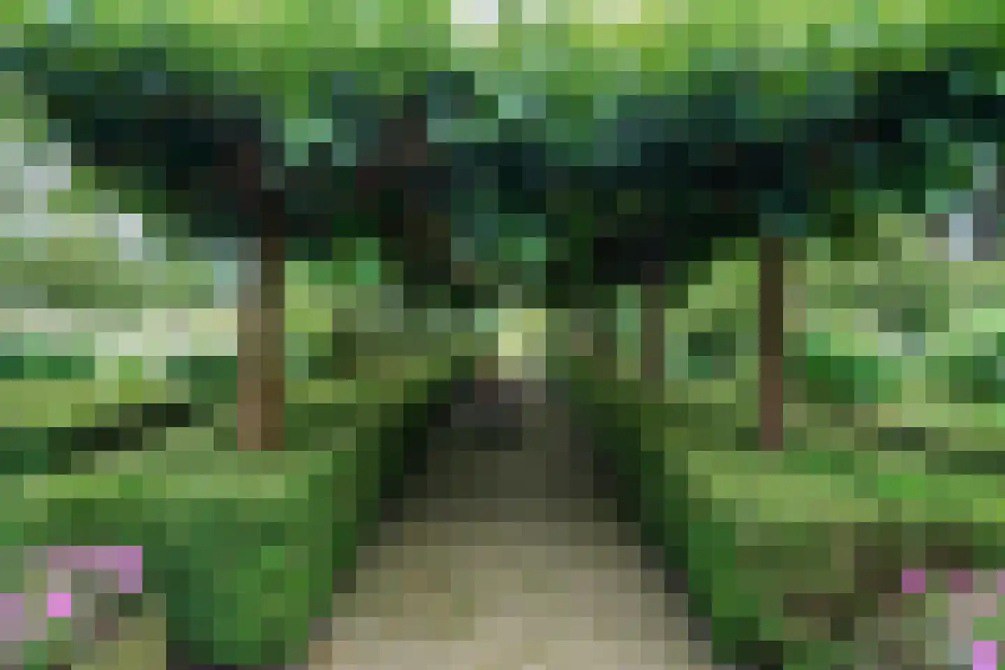 Kaathoven 3 Vinkel thumbnail 58