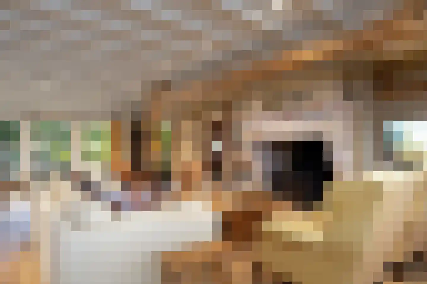 Kaathoven 3 Vinkel thumbnail 6