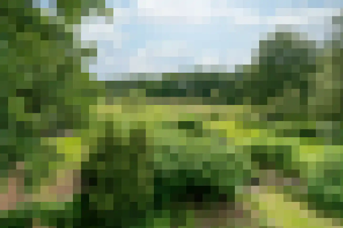 Kaathoven 3 Vinkel thumbnail 65
