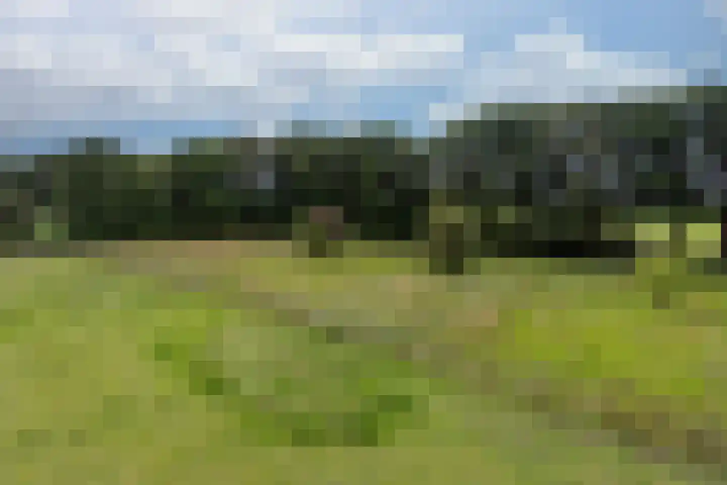 Kaathoven 3 Vinkel thumbnail 66