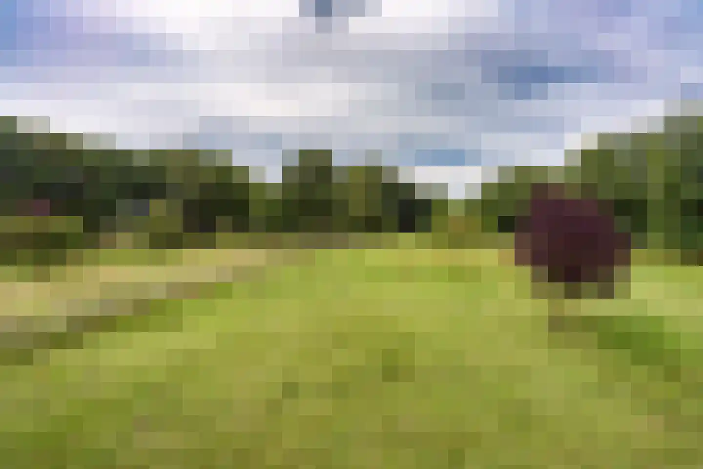 Kaathoven 3 Vinkel thumbnail 67