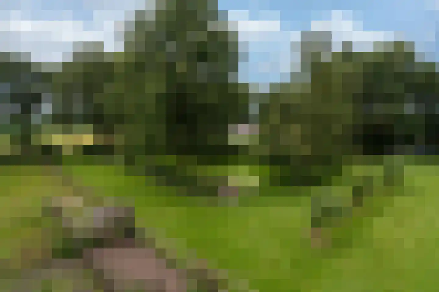 Kaathoven 3 Vinkel thumbnail 68