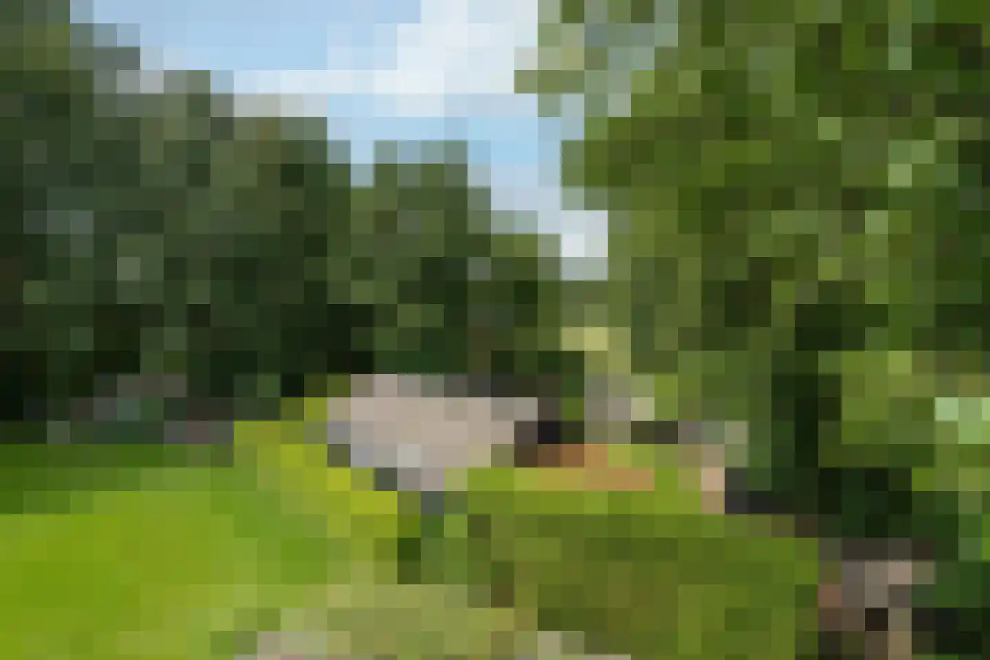 Kaathoven 3 Vinkel thumbnail 71