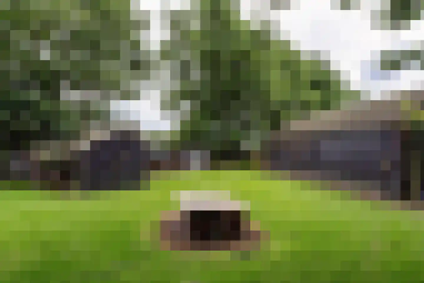 Kaathoven 3 Vinkel thumbnail 72