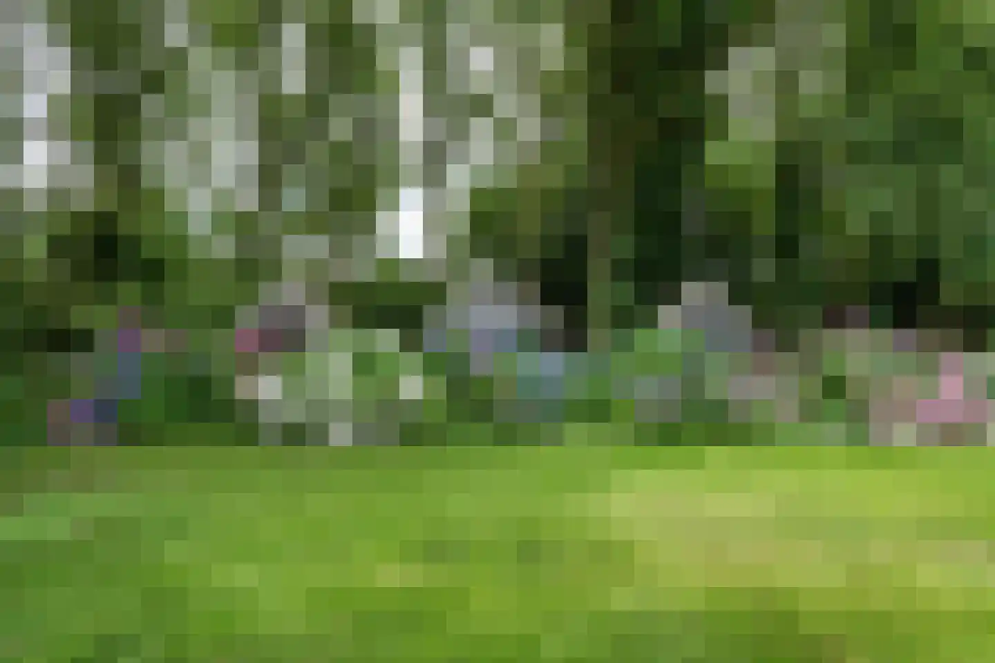 Kaathoven 3 Vinkel thumbnail 73