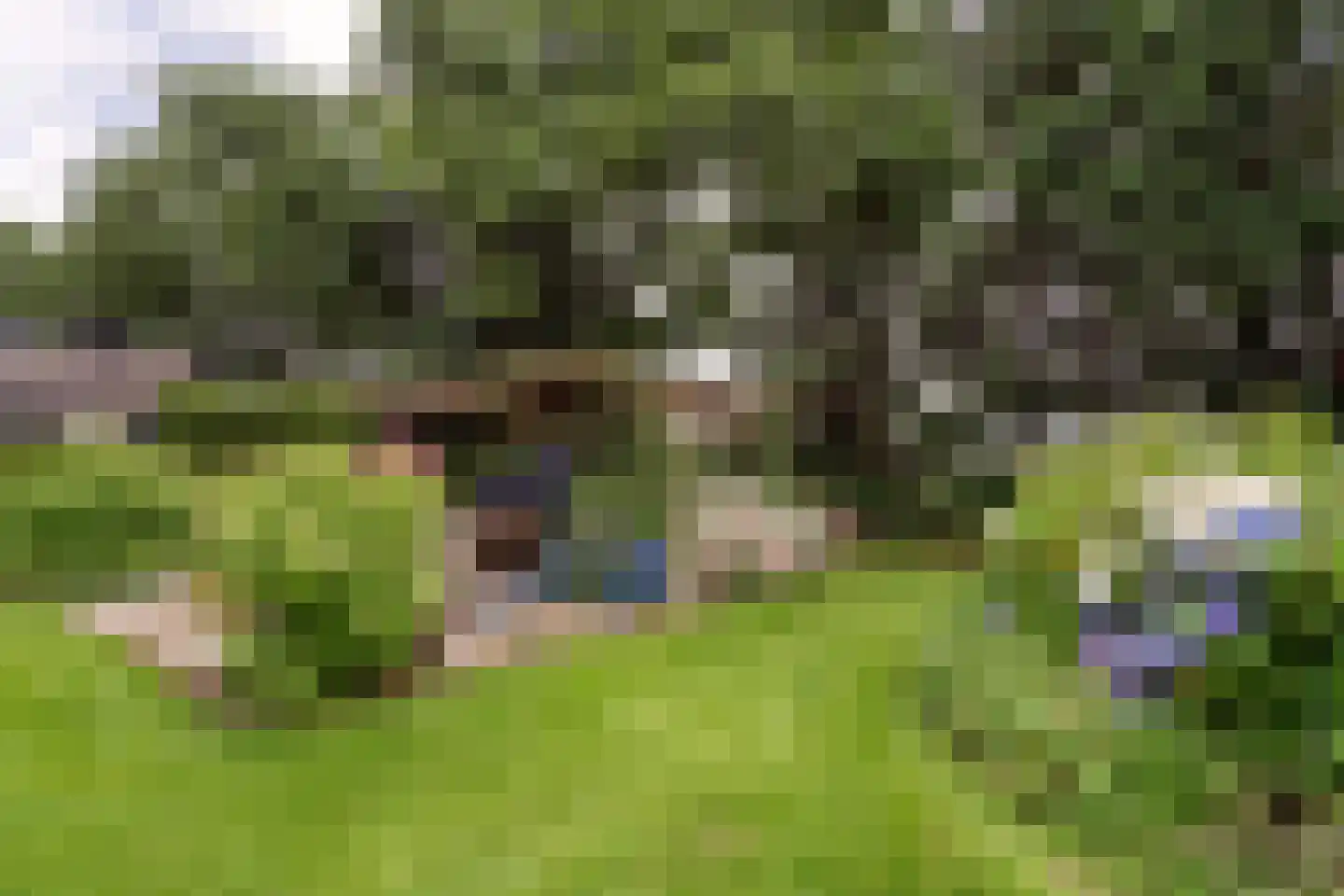 Kaathoven 3 Vinkel thumbnail 74