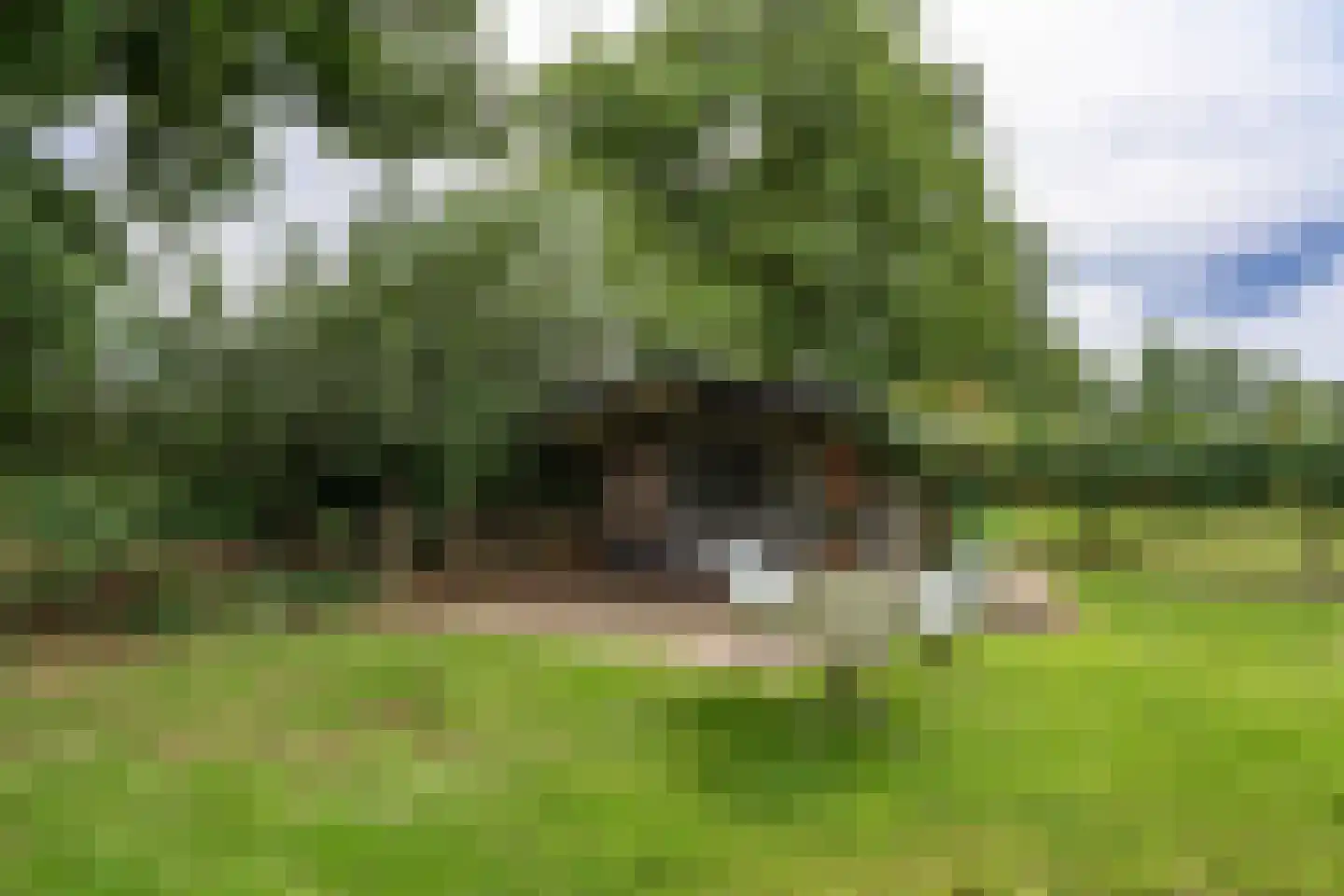Kaathoven 3 Vinkel thumbnail 76