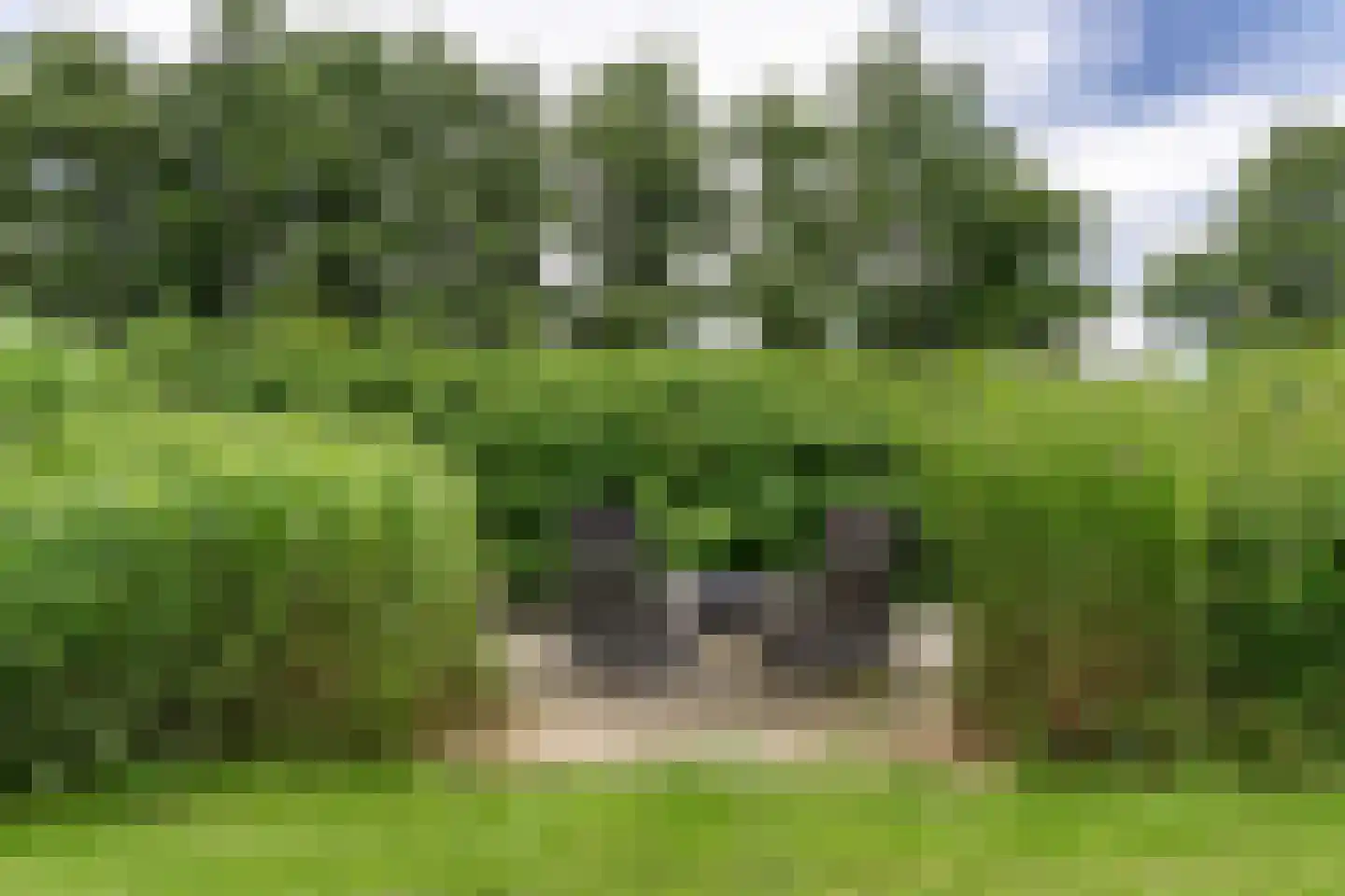 Kaathoven 3 Vinkel thumbnail 79