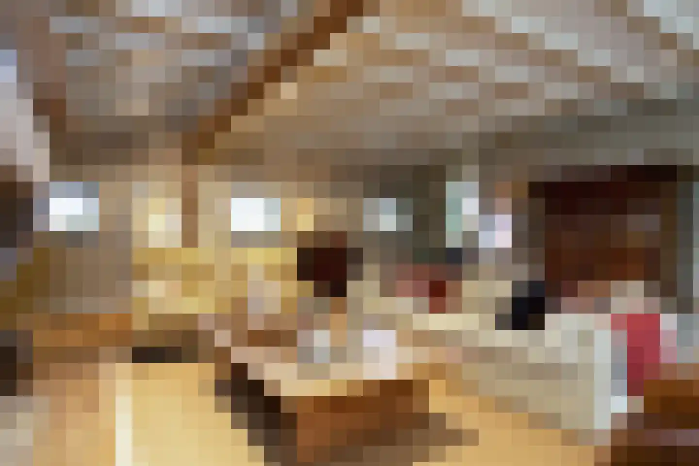 Kaathoven 3 Vinkel thumbnail 8