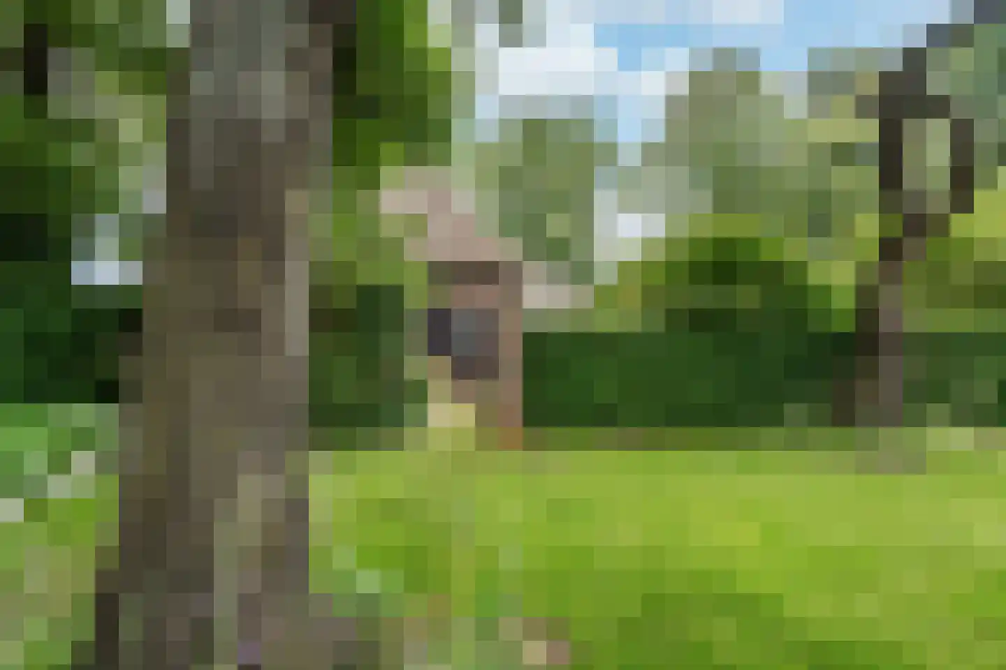 Kaathoven 3 Vinkel thumbnail 82