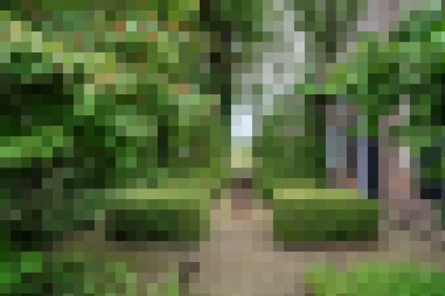 Kaathoven 3 Vinkel thumbnail 85