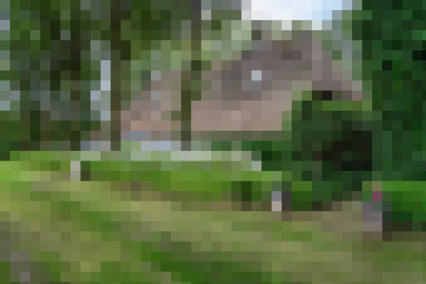 Kaathoven 3 Vinkel thumbnail 87